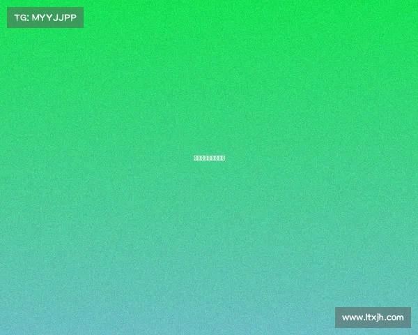 欧洲杯赛事比分解析