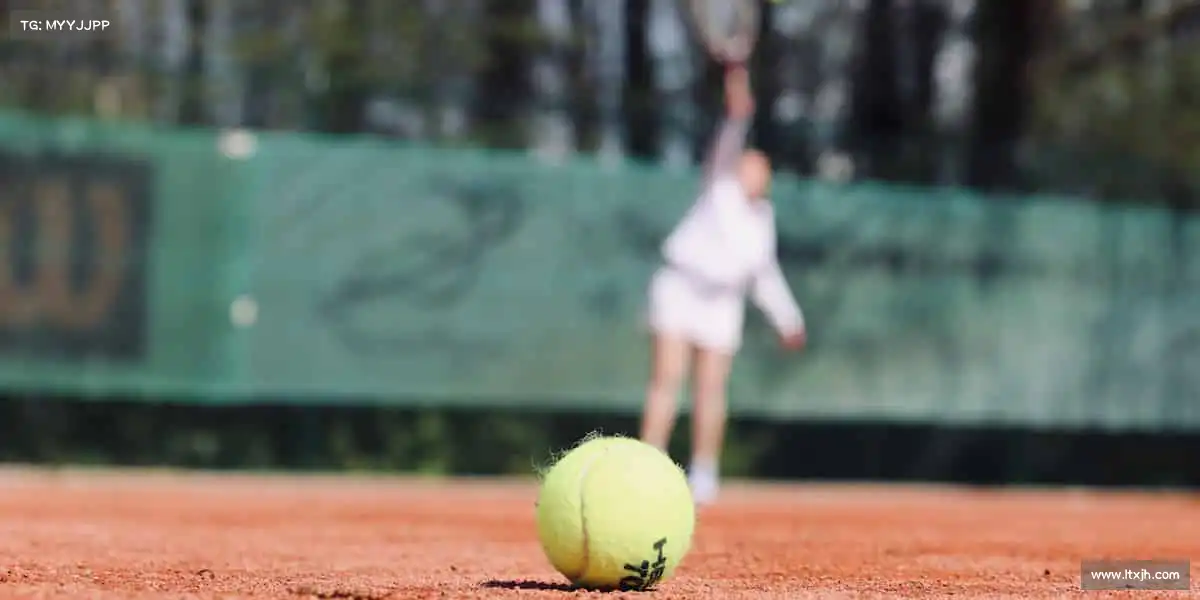 乐天堂——🏄♀️🌊浪尖起舞,勇者无惧!